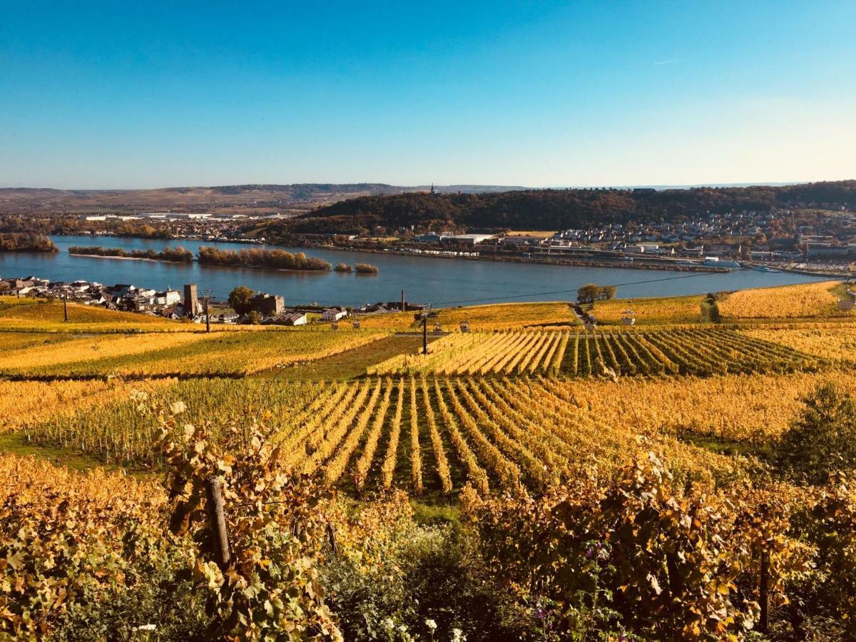 Hotel Altdeutsche Weinstube Rüdesheim am Rhein Exteriér fotografie
